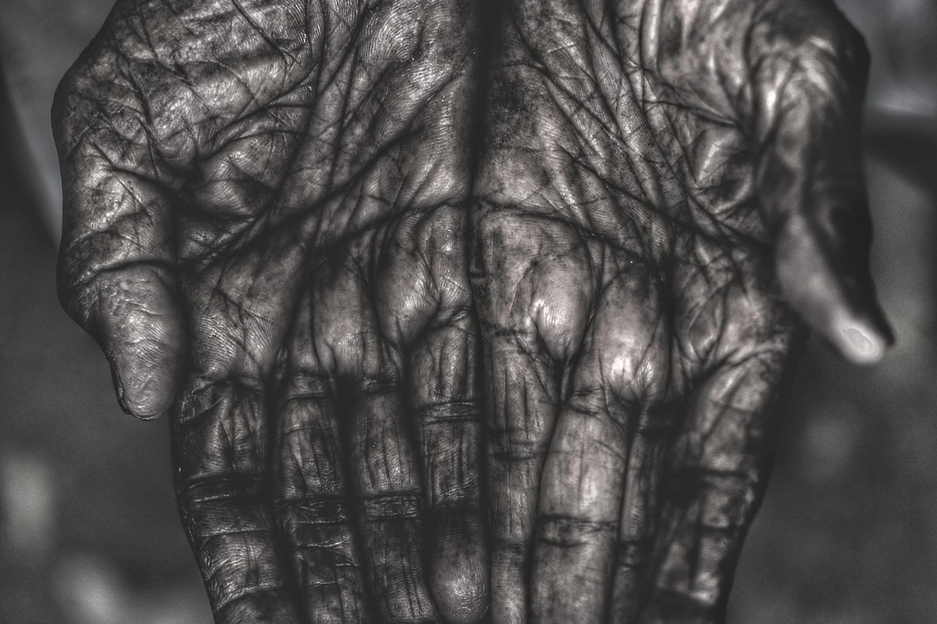 Close-up of open palms showing the lines and features AI reads