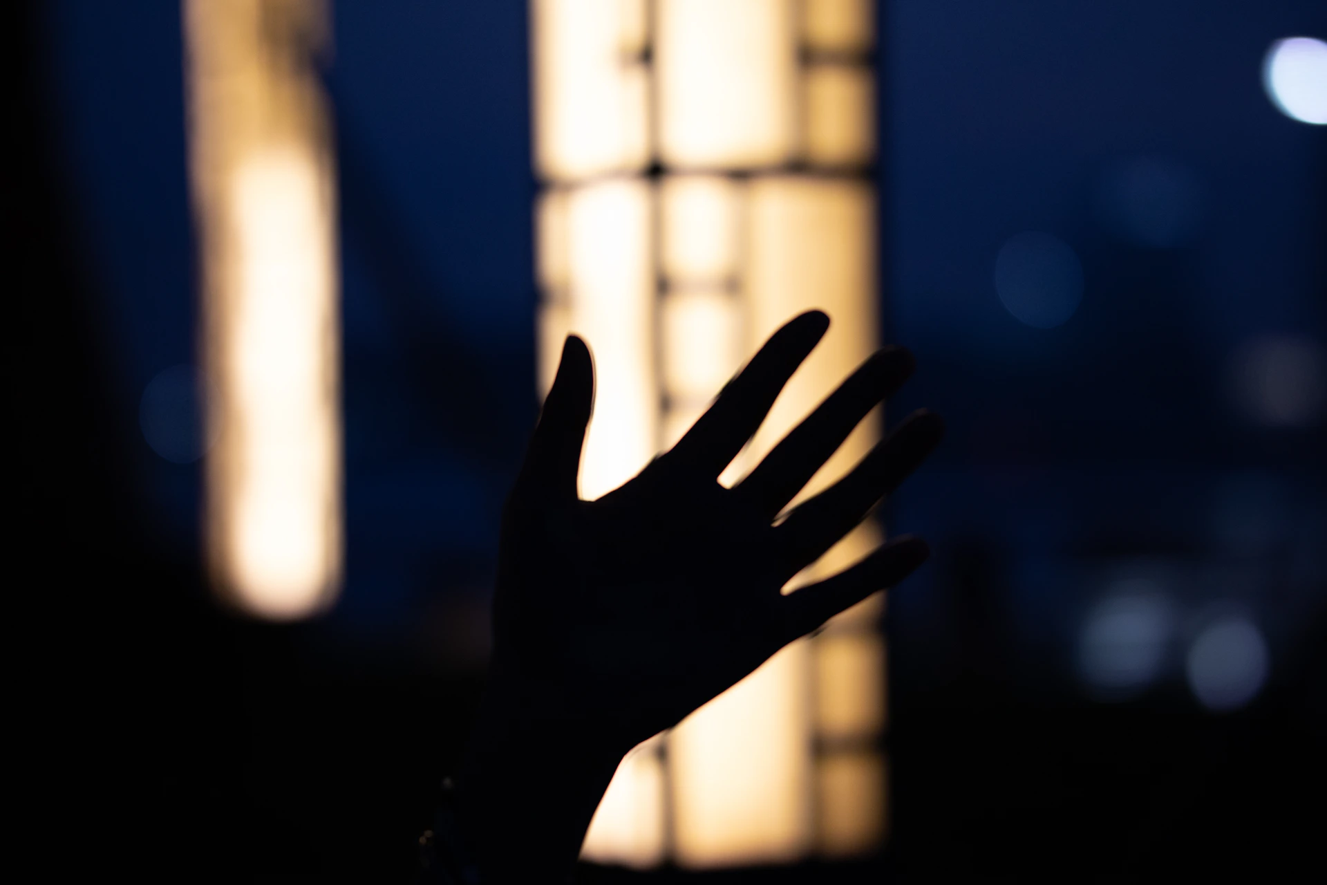 Open palm in soft natural light