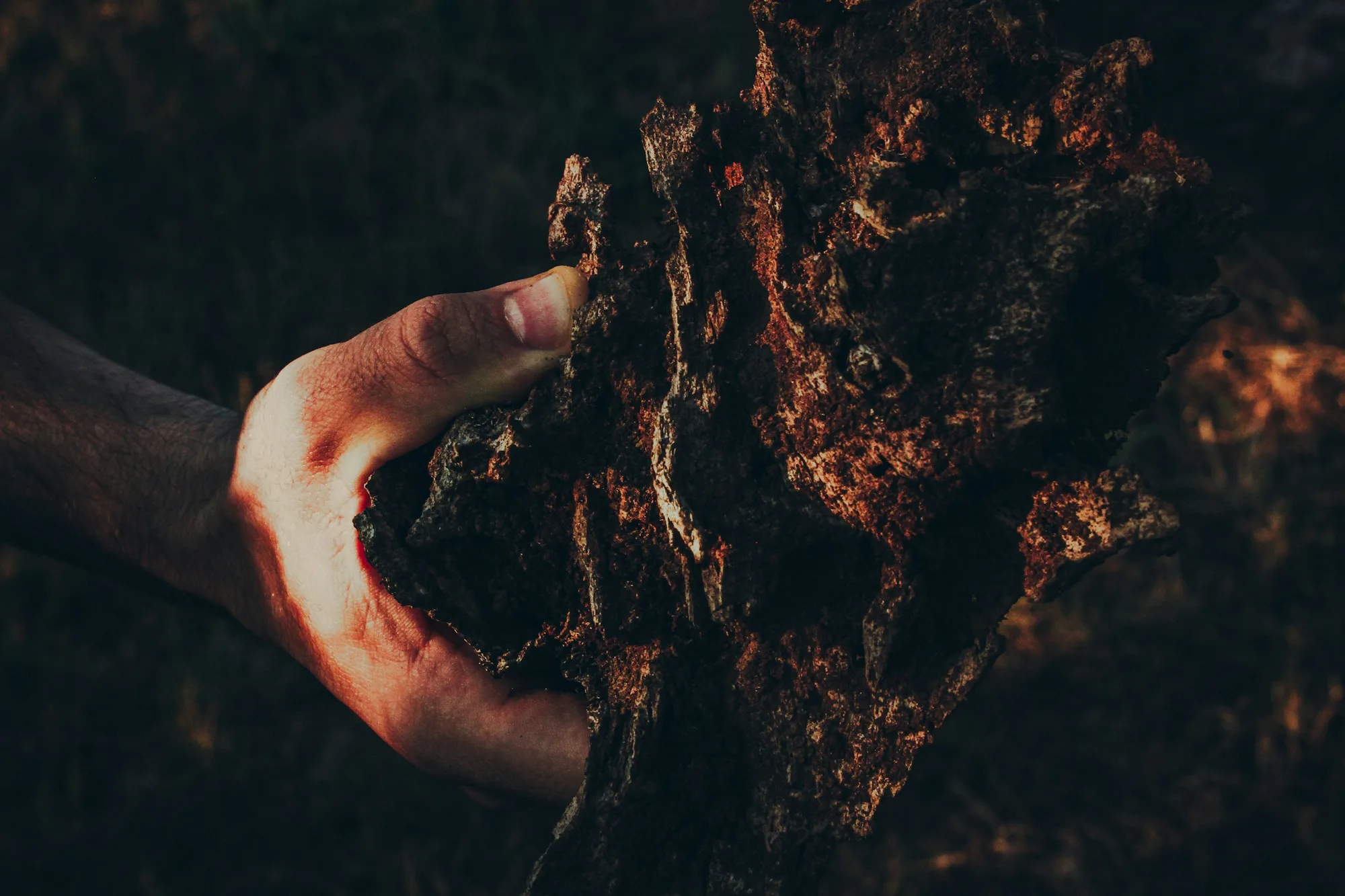 Hands in earth and soil, grounded and connected to nature