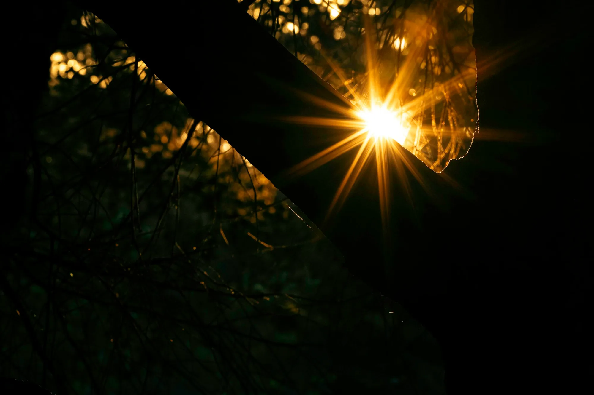 Hands catching light, representing creativity and public recognition