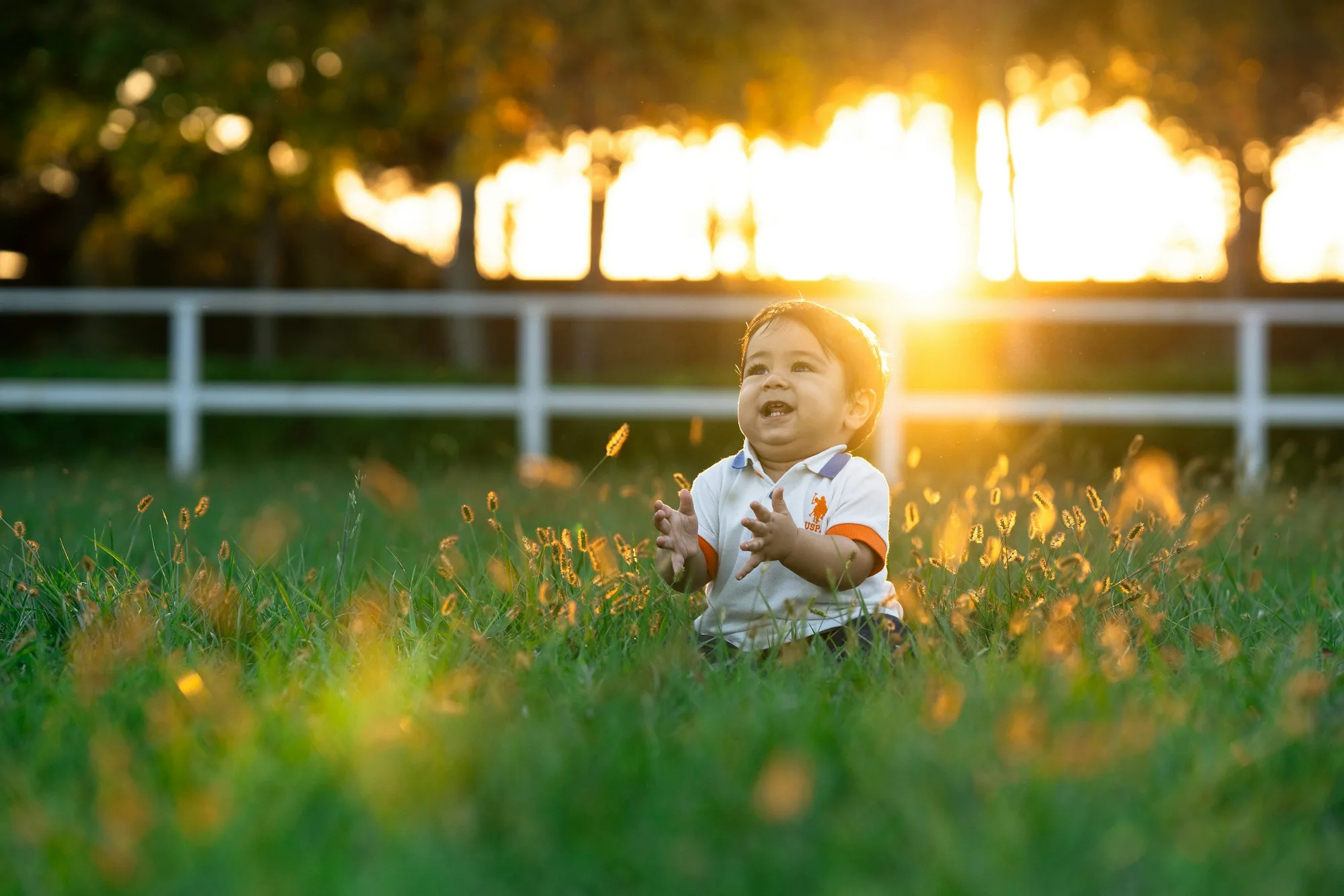 Hands in golden sunlight surrounded by nature
