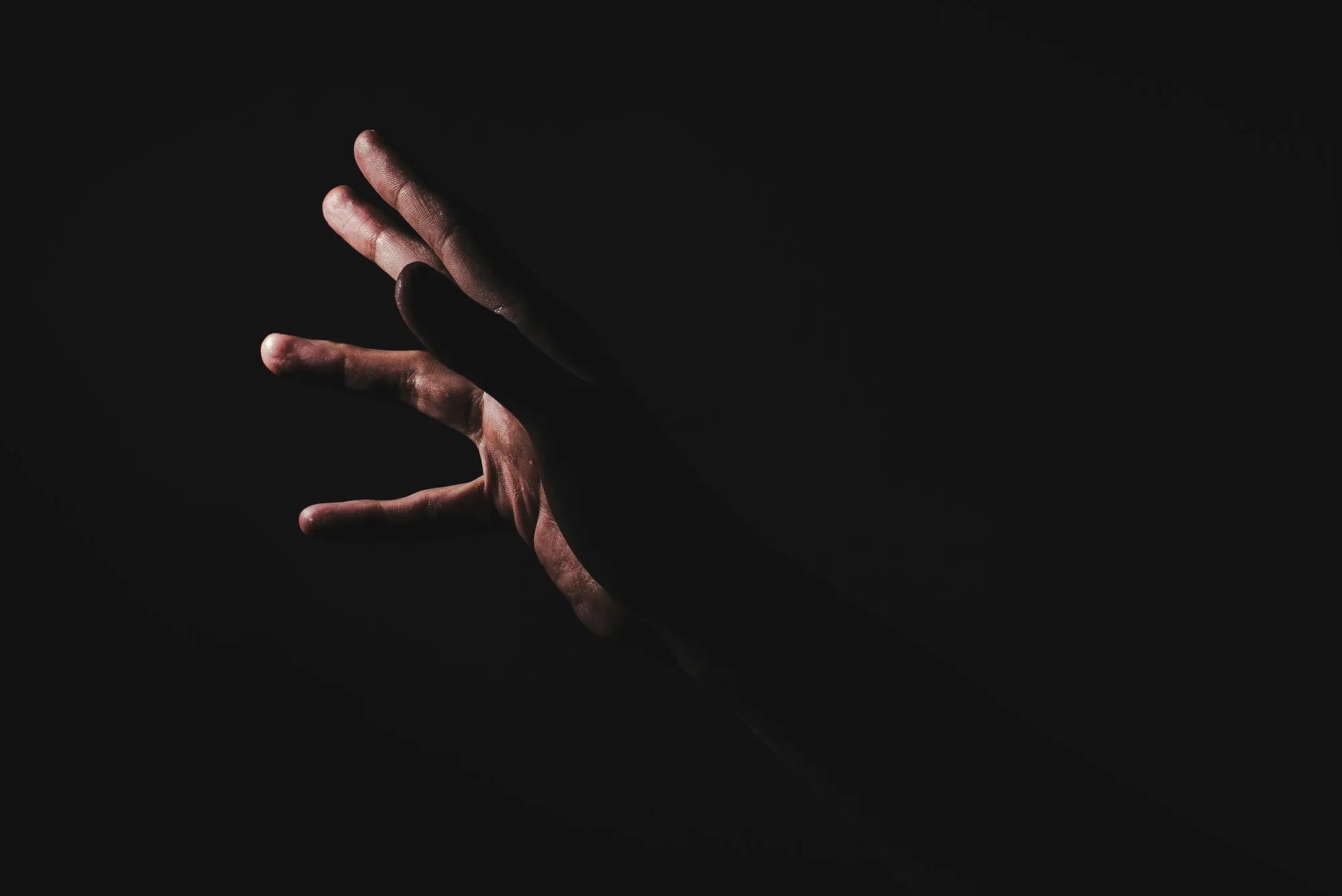 Open palm showing lines in warm natural light