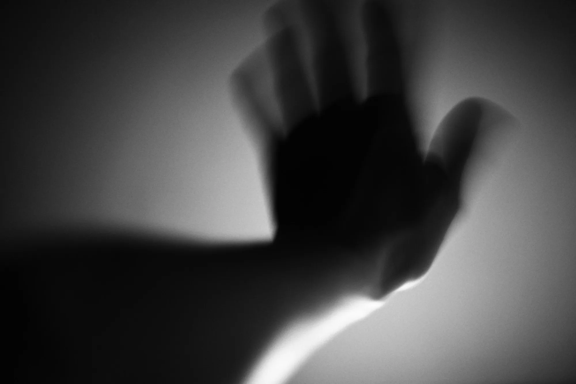 Dramatic shadow of a palm, highlighting the contrast between observation and interpretation